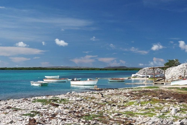 Hotel Oasis Guesthouse Bonaire Superior Suite (Hoop)